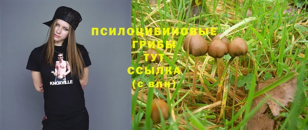 мяу мяу мука Белокуриха
