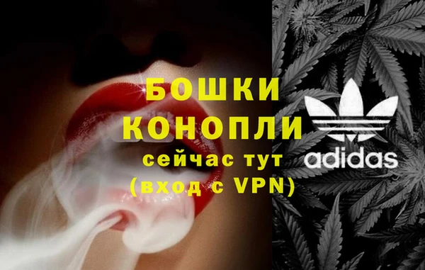 мяу мяу мука Белокуриха