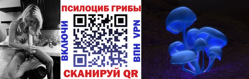 купить наркотик  Шуя  МЕГА рабочий сайт  Галлюциногенные грибы MAGIC MUSHROOMS 